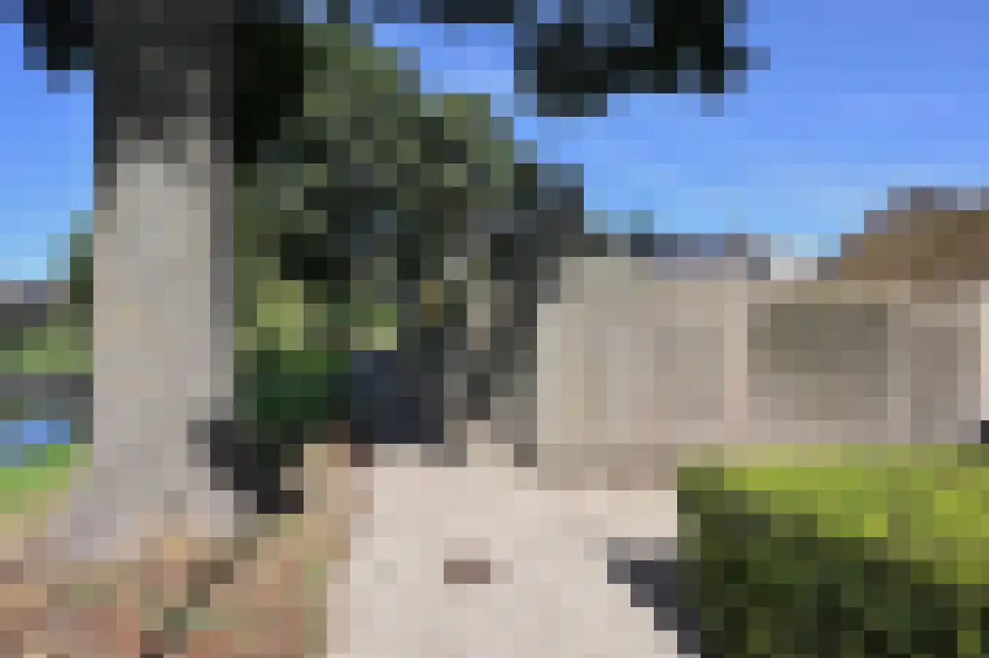 Gemaal 112 Grootebroek thumbnail 43