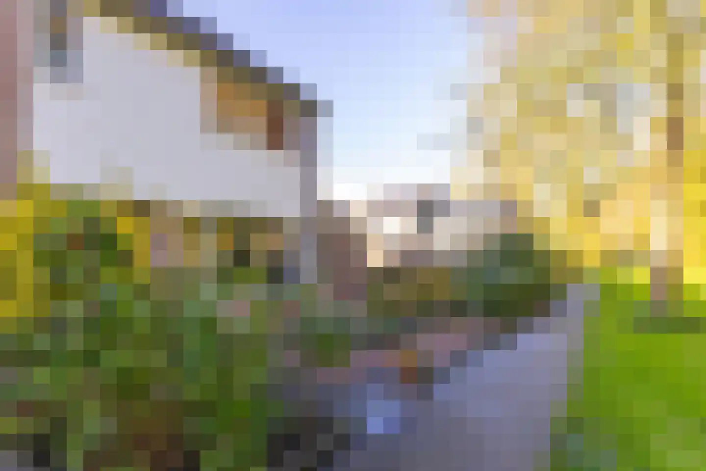 Gemaal 12 Grootebroek thumbnail 12