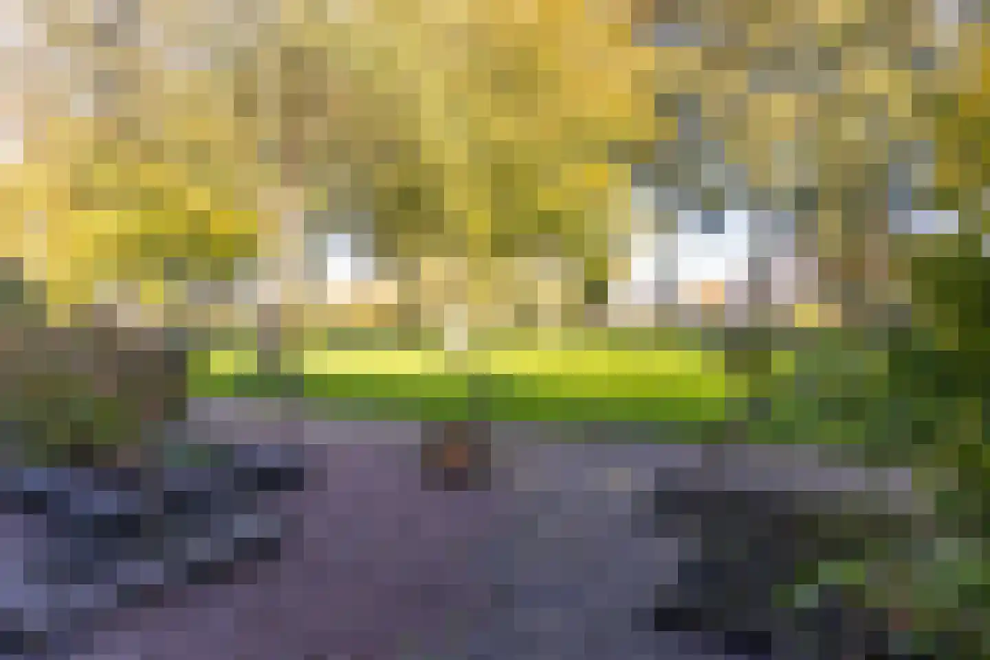 Gemaal 12 Grootebroek thumbnail 13