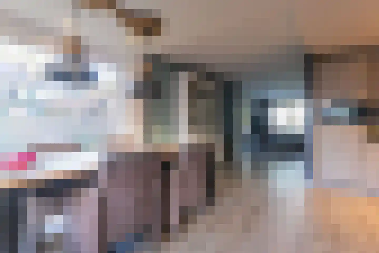 Gemaal 12 Grootebroek thumbnail 21