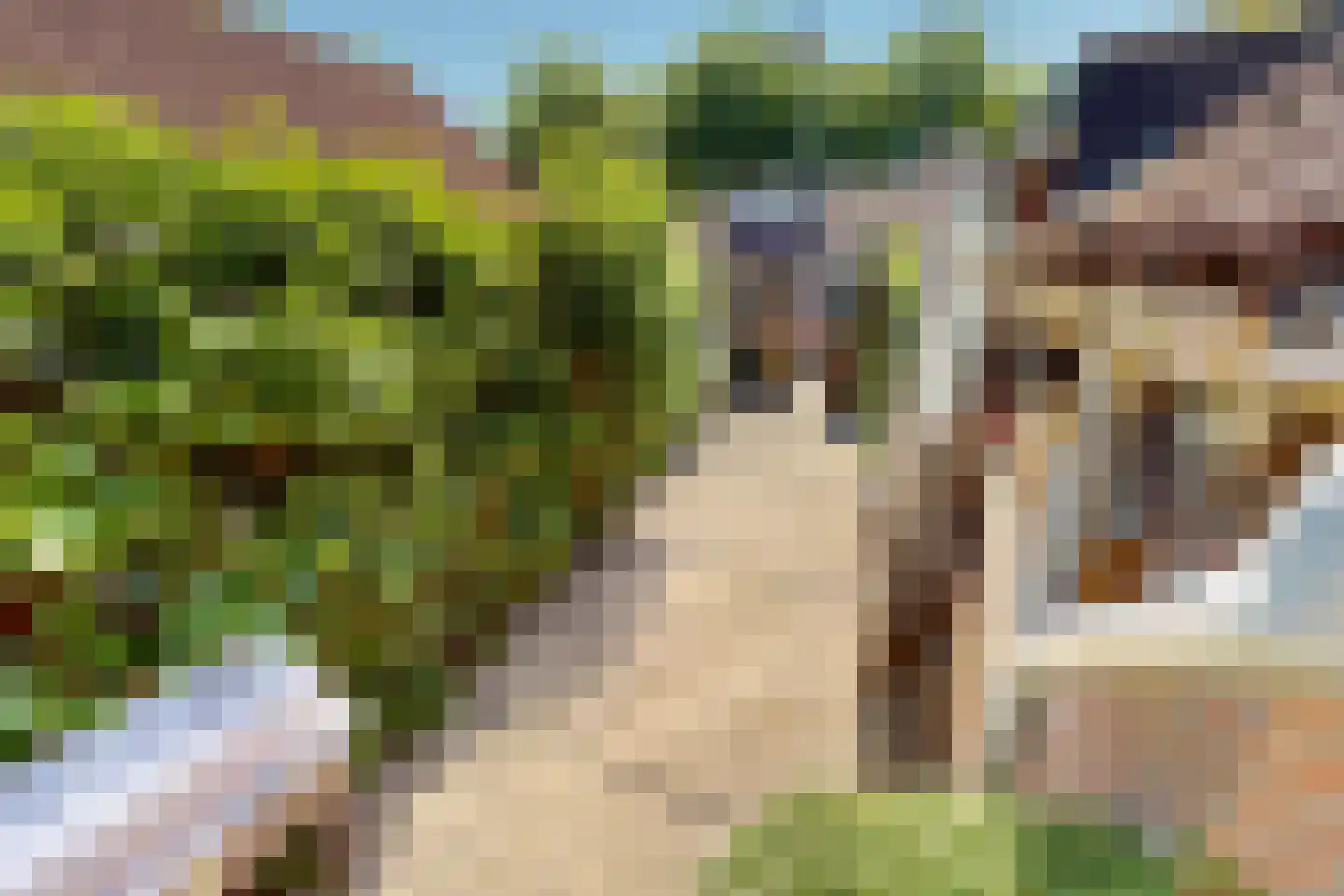 Gemaal 26 Grootebroek thumbnail 69