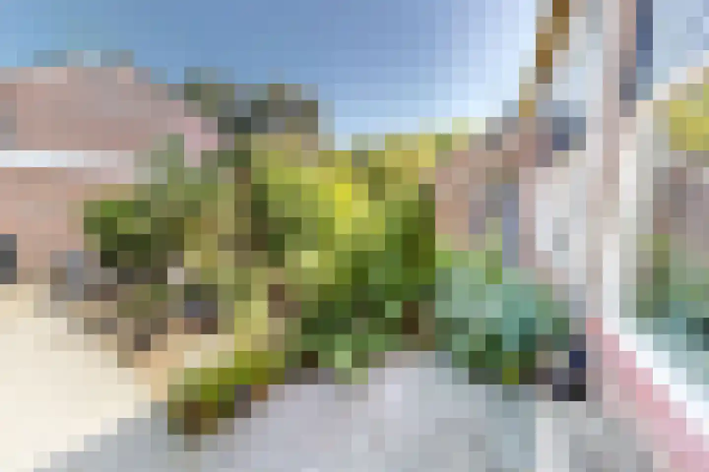 Gemaal 26 Grootebroek thumbnail 9