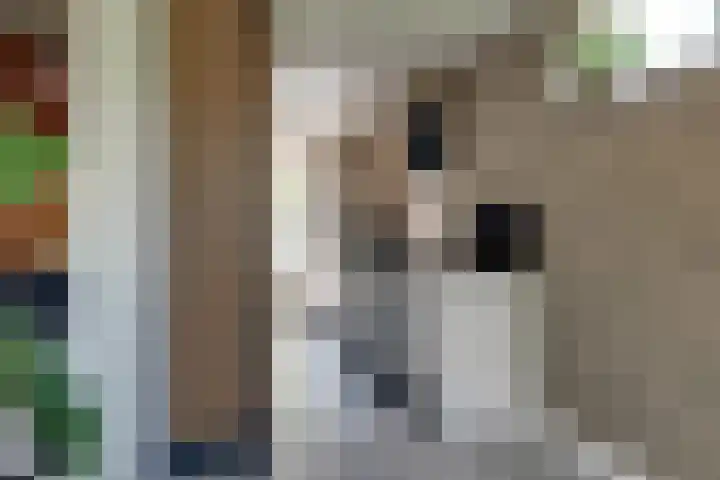 Gemaal 28 Grootebroek thumbnail 19