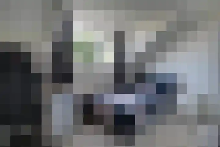 Gemaal 28 Grootebroek thumbnail 36