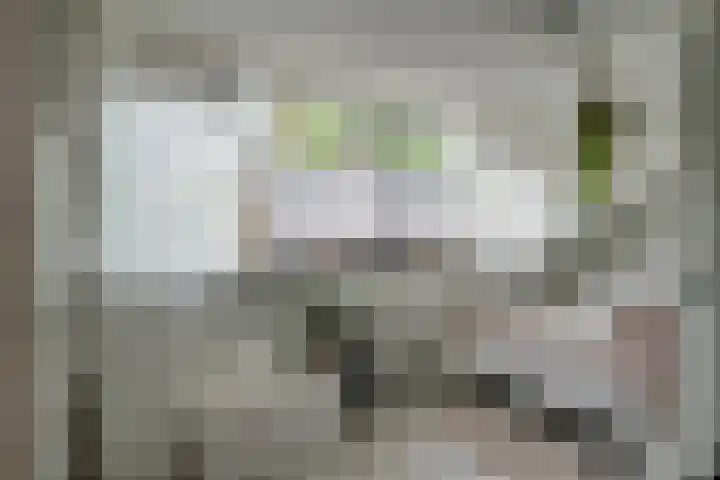 Gemaal 28 Grootebroek thumbnail 40
