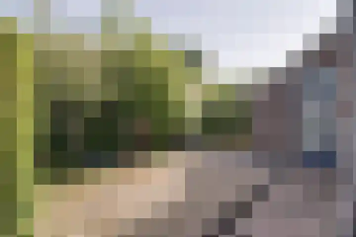 Gemaal 28 Grootebroek thumbnail 46