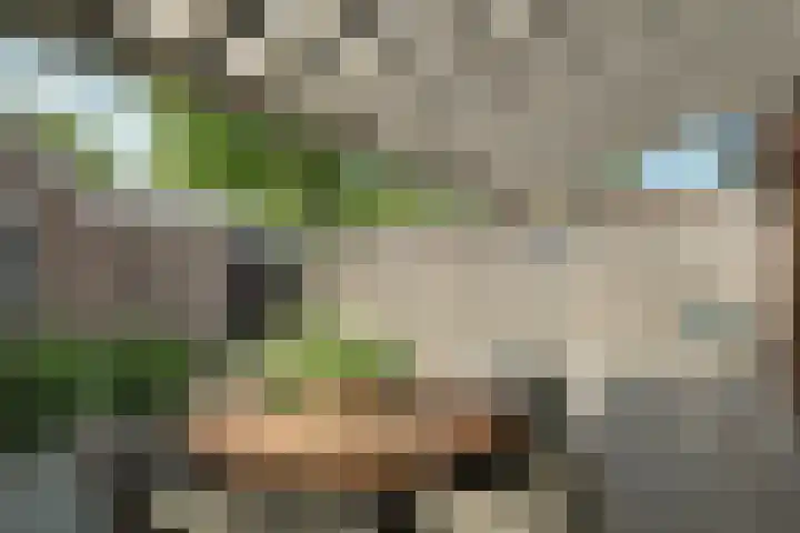 Gemaal 28 Grootebroek thumbnail 47