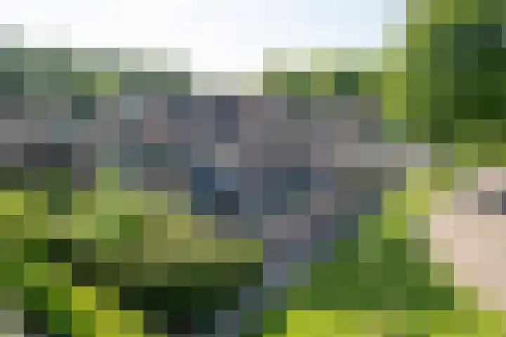 Gemaal 28 Grootebroek thumbnail 5