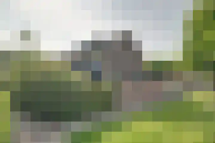 Gemaal 28 Grootebroek thumbnail 62