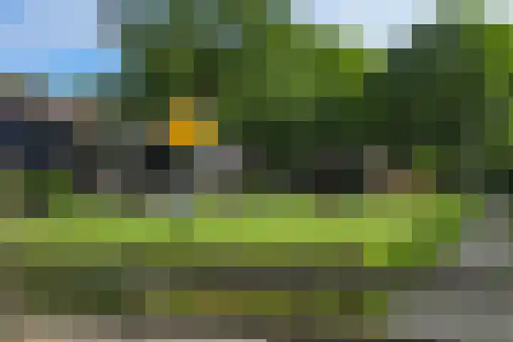 Gemaal 28 Grootebroek thumbnail 63
