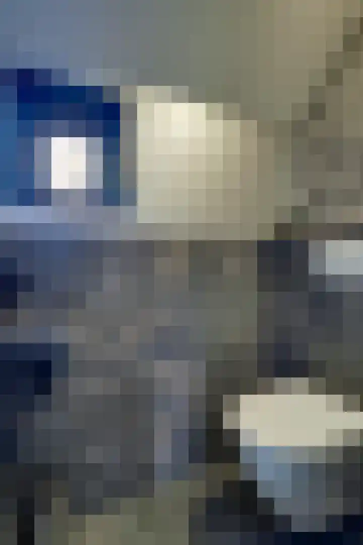 Gemaal 28 Grootebroek thumbnail 8