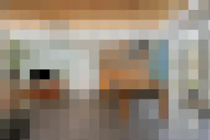 Gemaal 5 Oss thumbnail 11