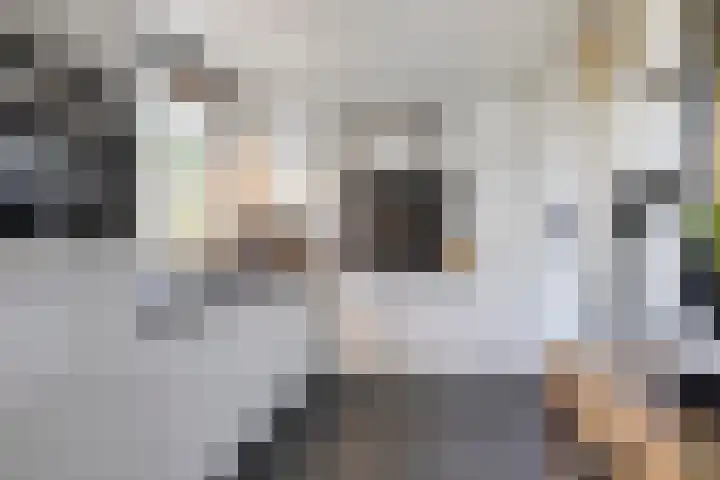 Gemaal 5 Oss thumbnail 16