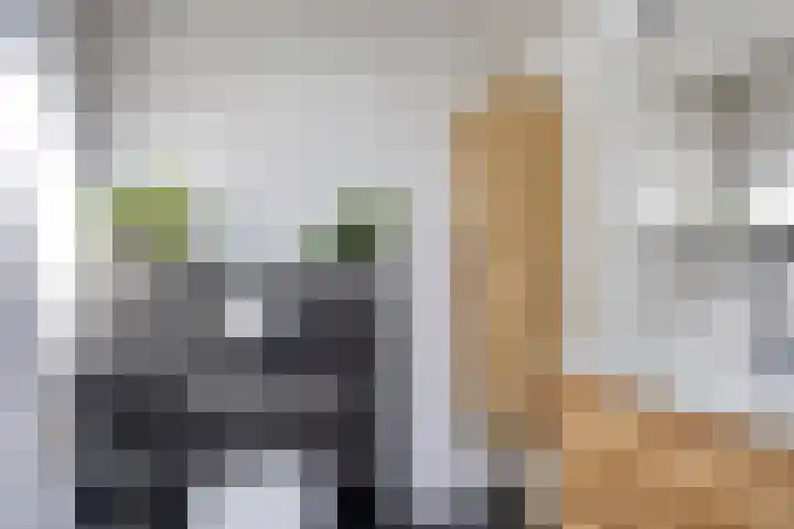 Gemaal 5 Oss thumbnail 20