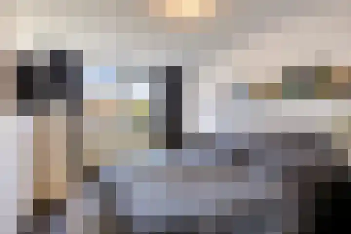 Gemaal 5 Oss thumbnail 22