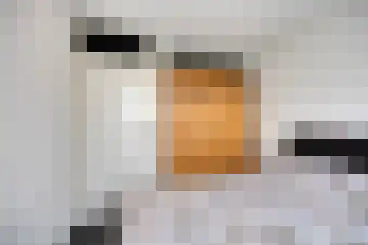 Gemaal 5 Oss thumbnail 25