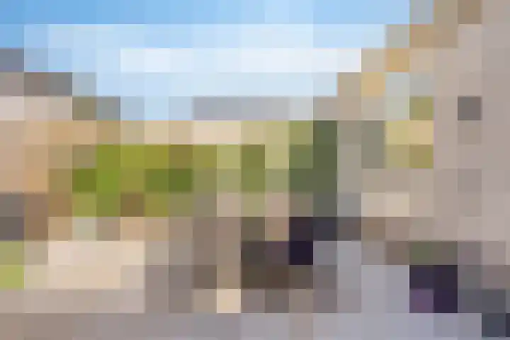 Gemaal 5 Oss thumbnail 29