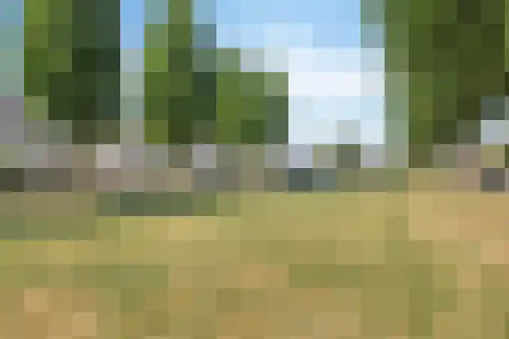 Gemaal 5 Oss thumbnail 32