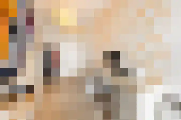 Gemaalhof 13 Hoofddorp thumbnail 23