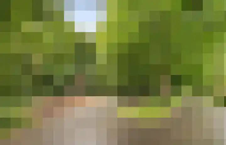 Gemaalhof 13 Hoofddorp thumbnail 39