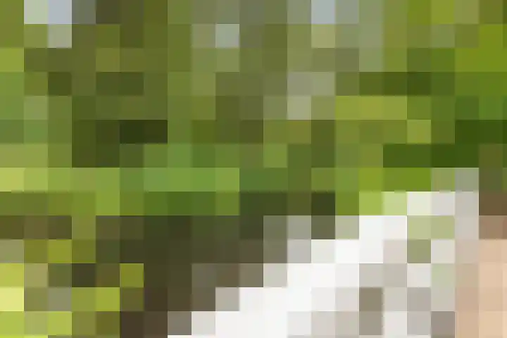 Gemaalhof 13 Hoofddorp thumbnail 40