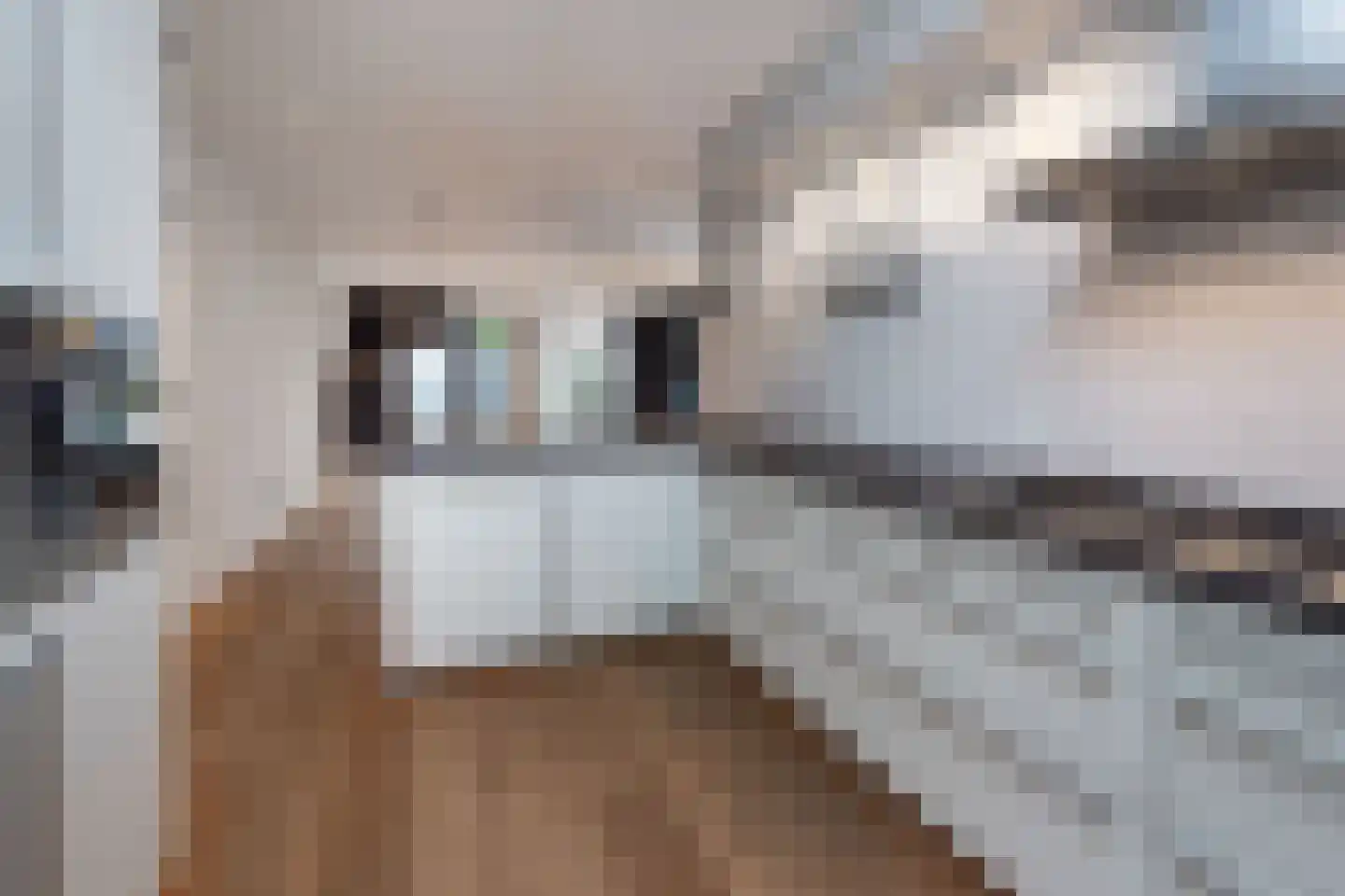 Gemaalstraat 4 Aalsmeer thumbnail 11