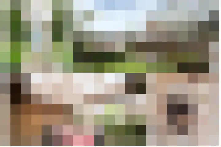 Gember 7 Oud Gastel thumbnail 28