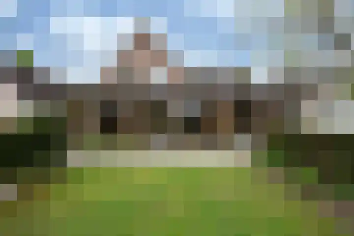 Gember 7 Oud Gastel thumbnail 29
