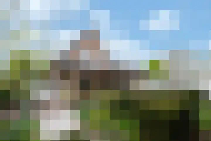 Gember 7 Oud Gastel thumbnail 31