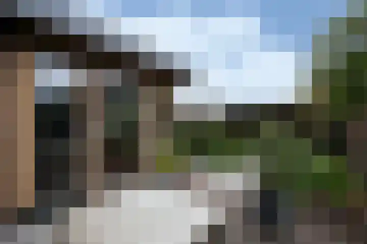 Gember 7 Oud Gastel thumbnail 32