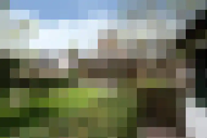 Gember 7 Oud Gastel thumbnail 34
