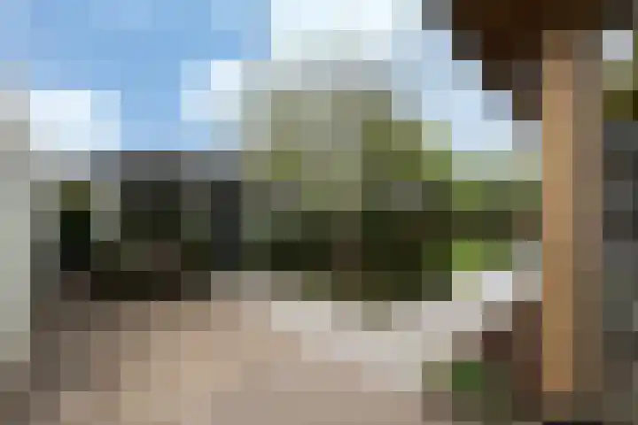 Gember 7 Oud Gastel thumbnail 35