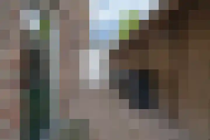 Gember 7 Oud Gastel thumbnail 36