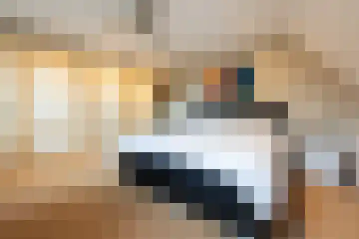 Gember 7 Oud Gastel thumbnail 38