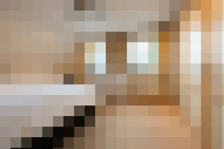 Gember 7 Oud Gastel thumbnail 39