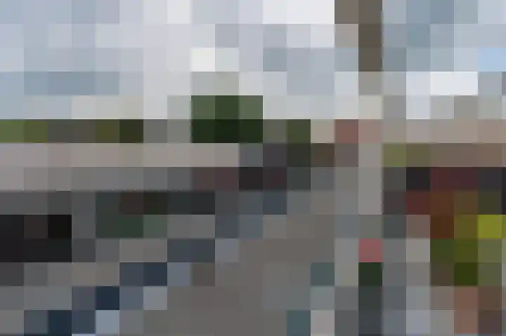 Gember 7 Oud Gastel thumbnail 41