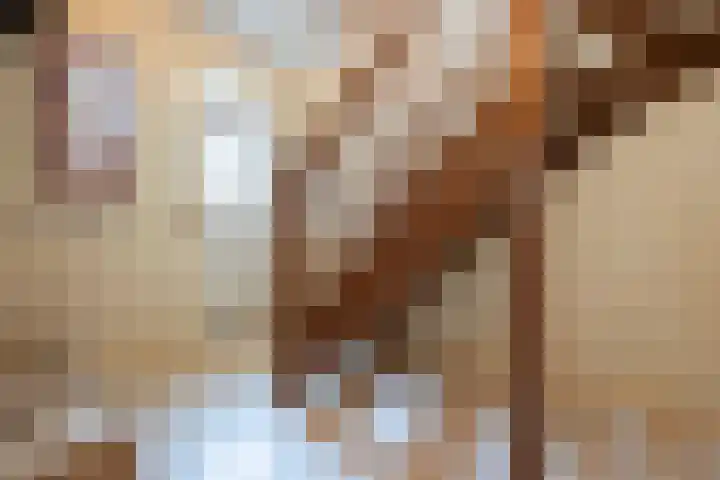 Gember 7 Oud Gastel thumbnail 8