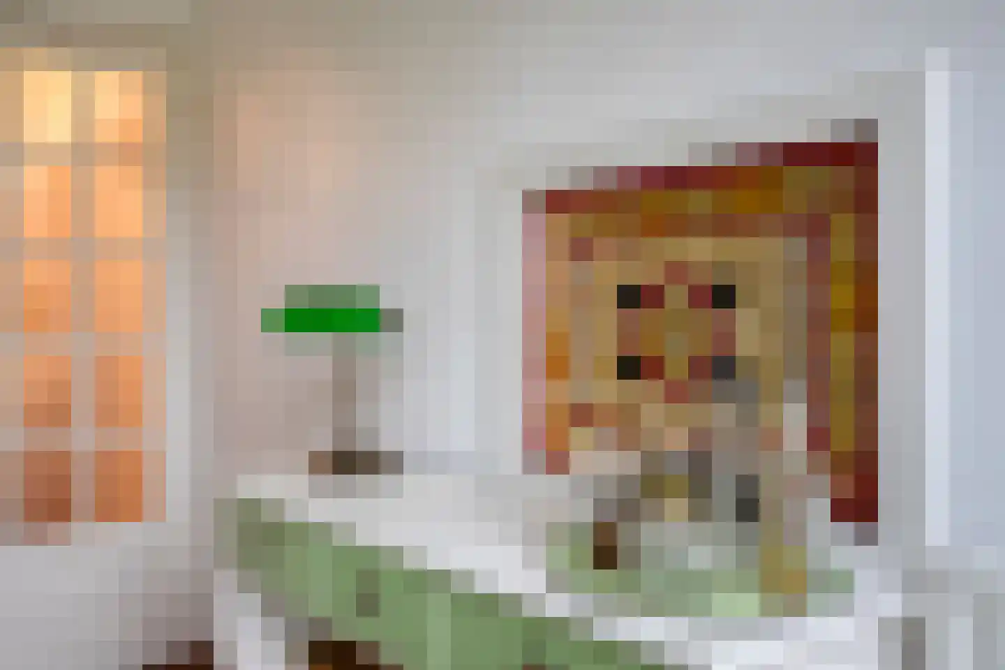 Gemberstraat 45 Eindhoven thumbnail 11
