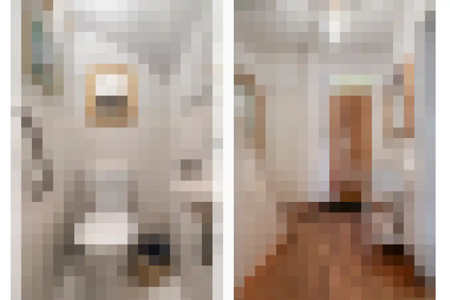 Gemberstraat 45 Eindhoven thumbnail 12
