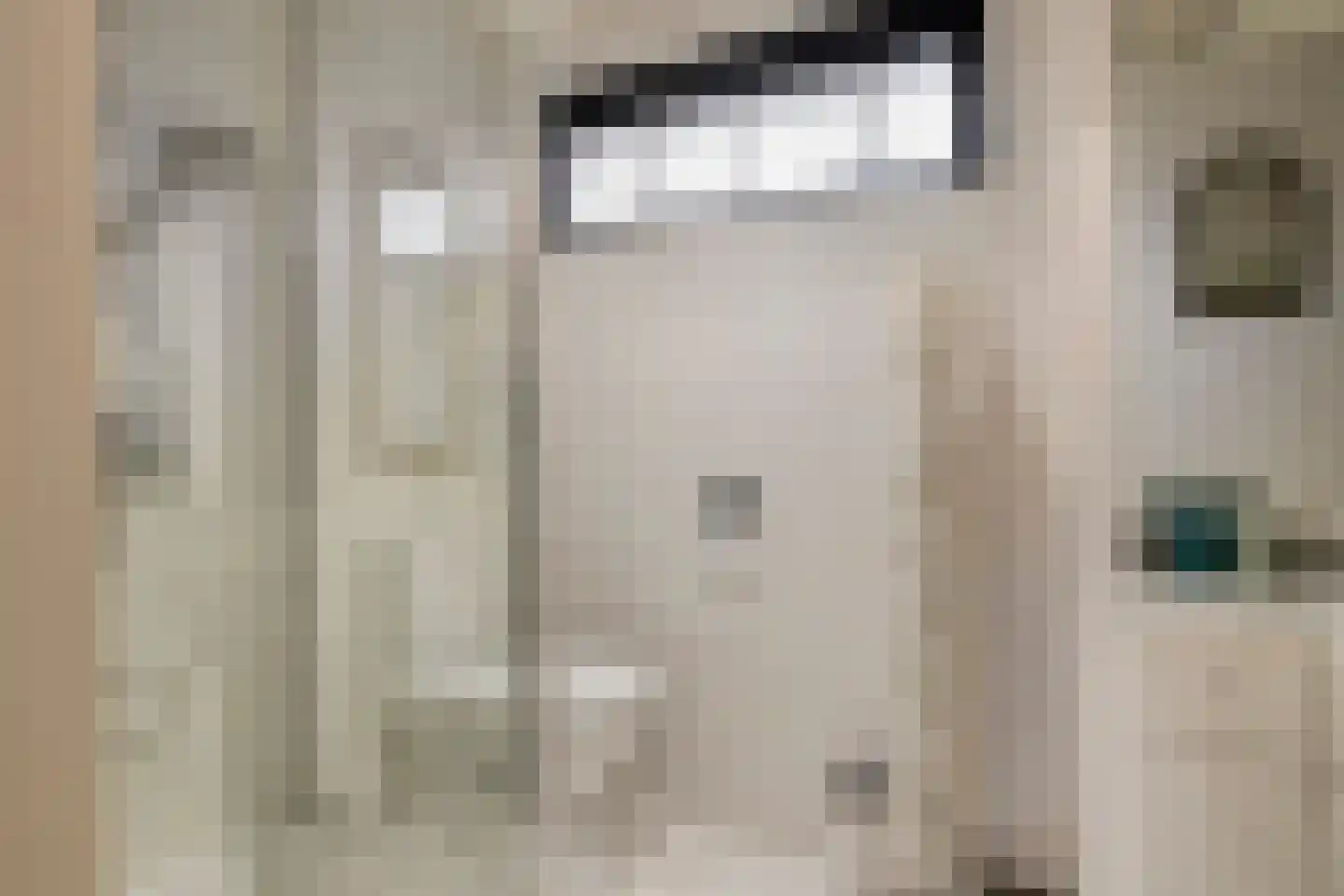 Gemberstraat 45 Eindhoven thumbnail 18