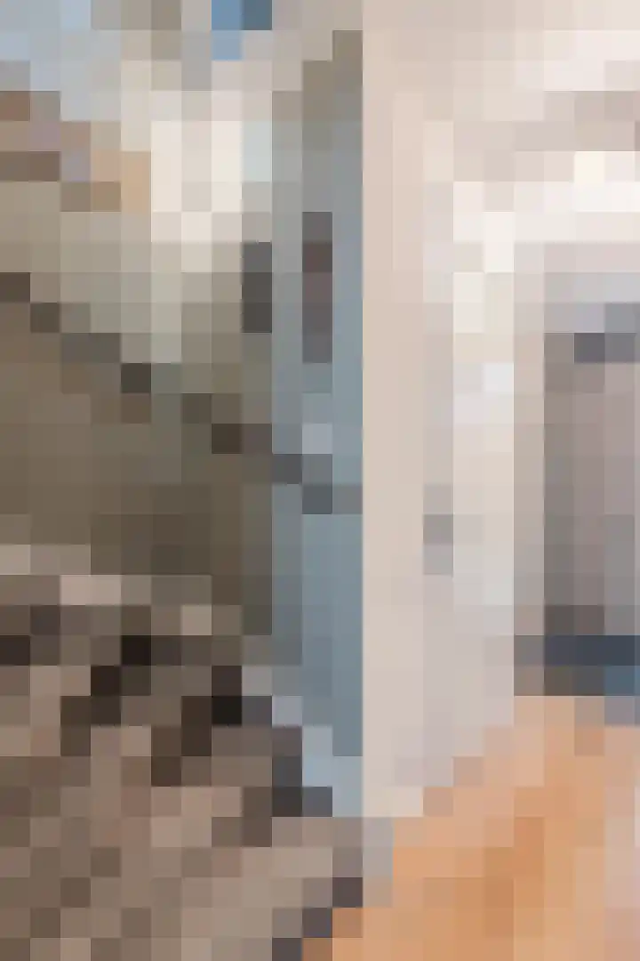 Gemberweg 16 Utrecht thumbnail 11