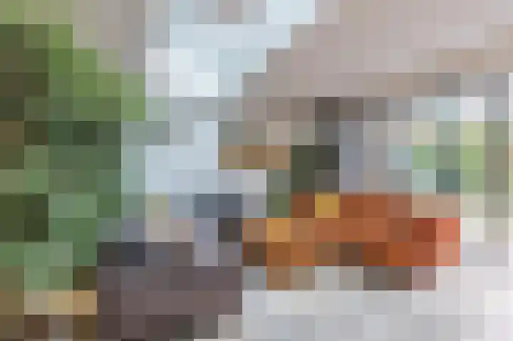 Gemberweg 16 Utrecht thumbnail 13