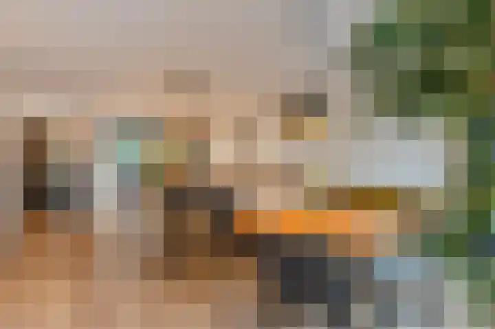 Gemberweg 16 Utrecht thumbnail 18