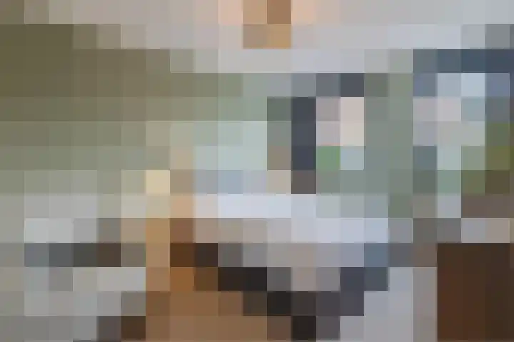 Gemberweg 16 Utrecht thumbnail 33