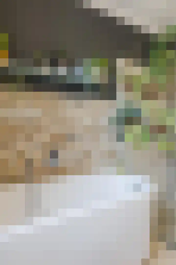 Gemberweg 16 Utrecht thumbnail 42