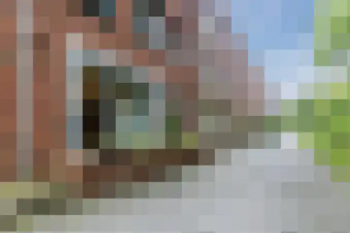 Gemberweg 16 Utrecht thumbnail 5