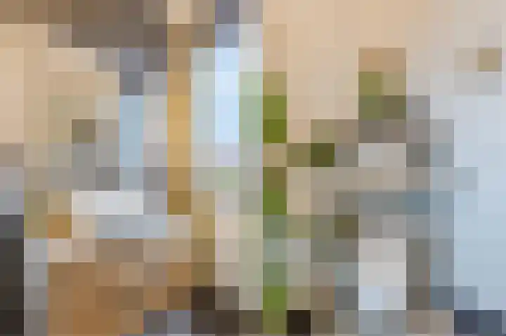 Gemberweg 16 Utrecht thumbnail 58