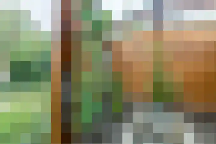 Gemberweg 16 Utrecht thumbnail 66