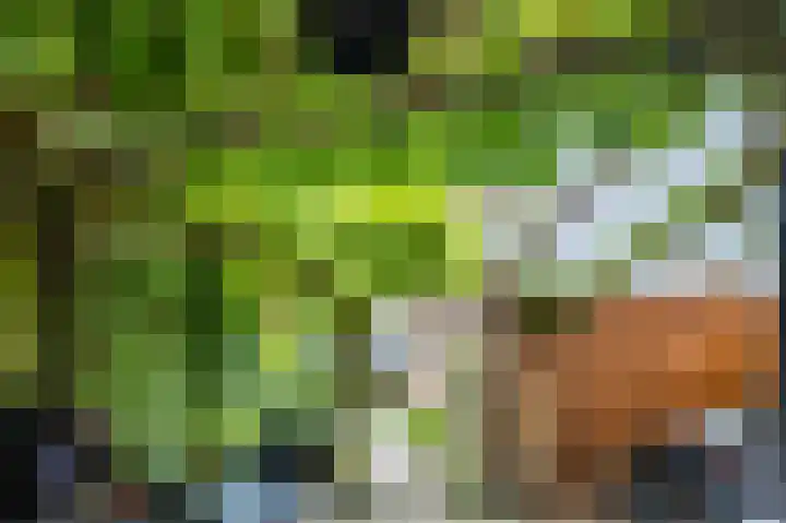Gemberweg 16 Utrecht thumbnail 69