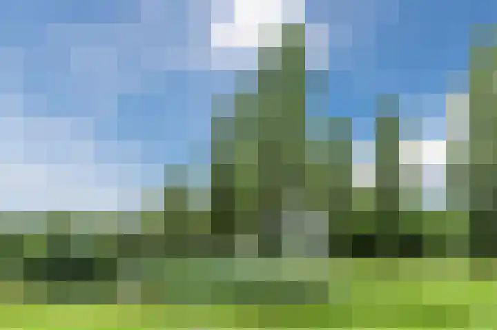 Gemberweg 16 Utrecht thumbnail 79